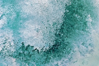 W 020